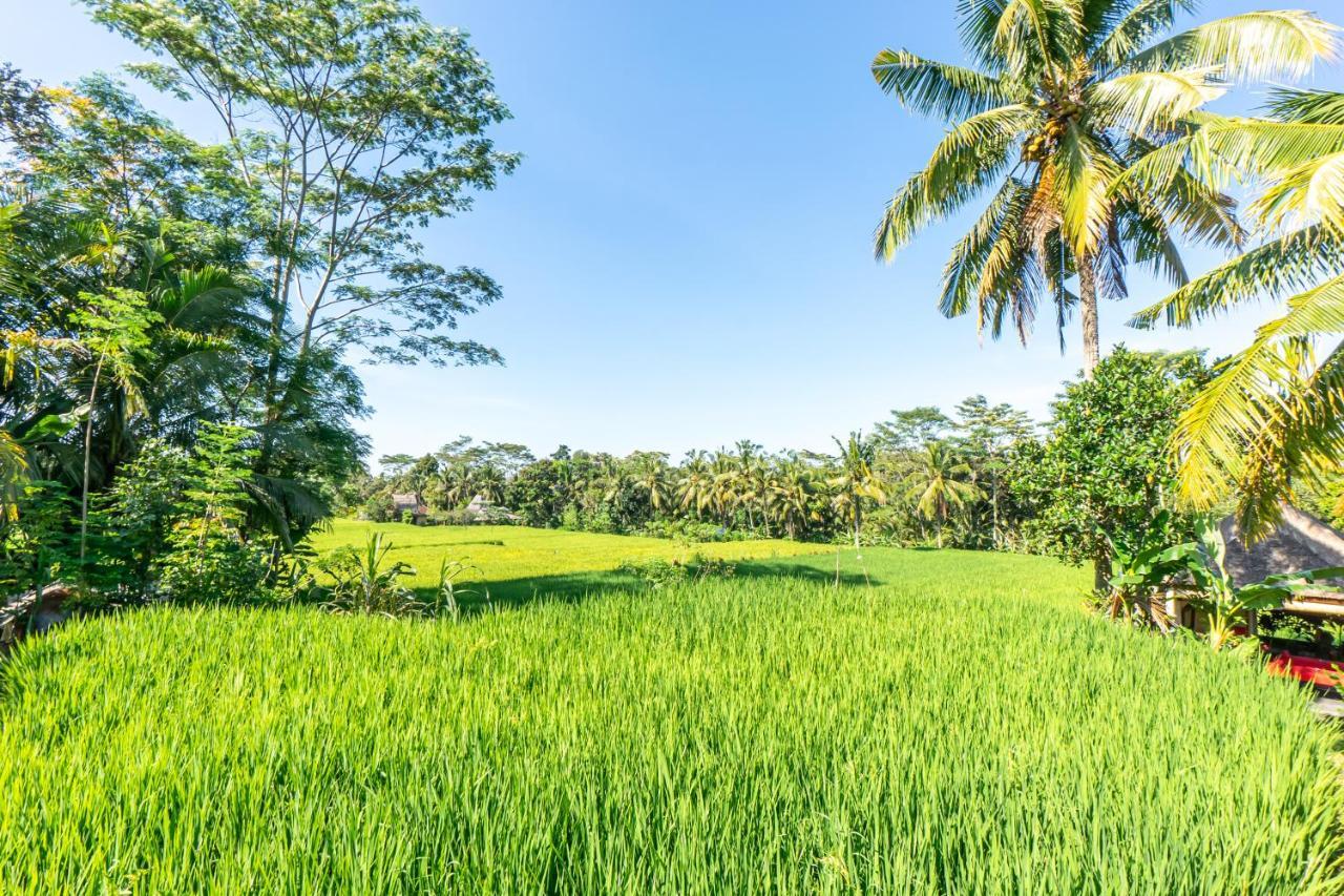 Rouge - Private Villa Passion Ubud  Bagian luar foto